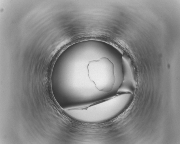 X0000088621210200706221447