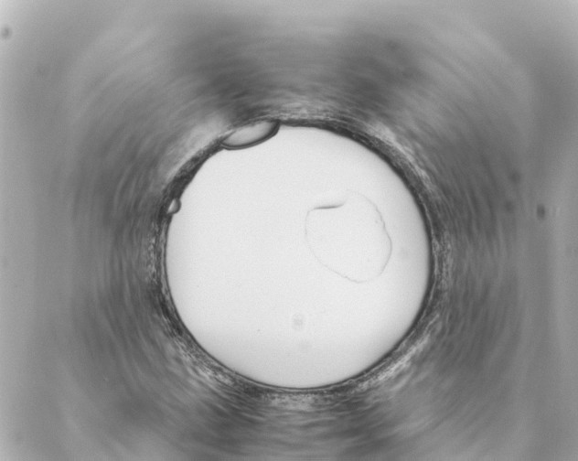 X0000088621211200706221447