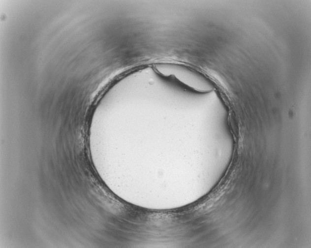 X0000088621212200706221447