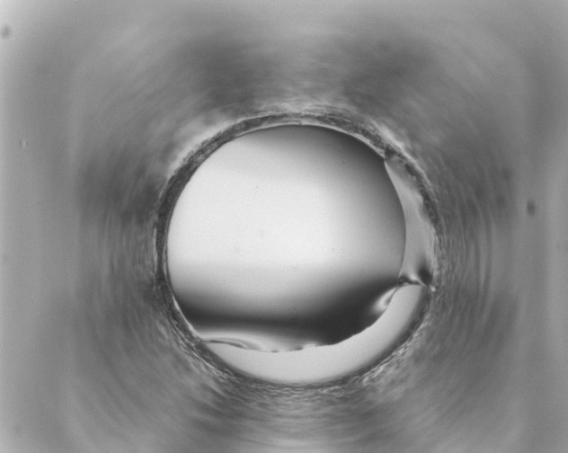 X0000088621214200706221447