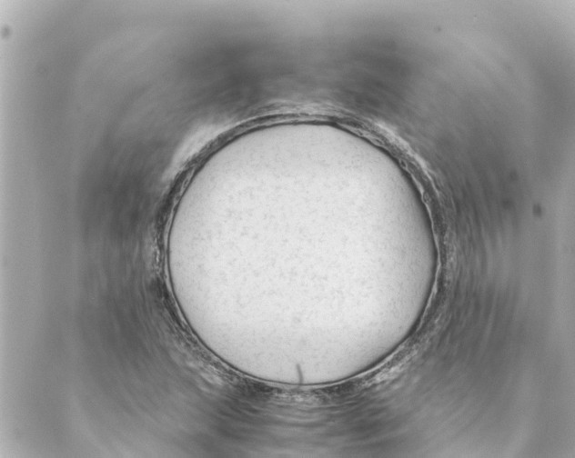 X0000088621215200706221447