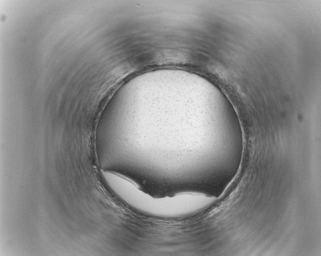 X0000088621217200706221447