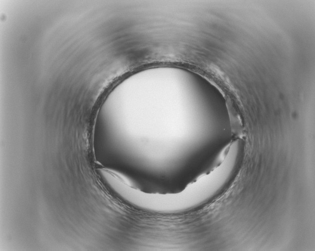 X0000088621218200706221447