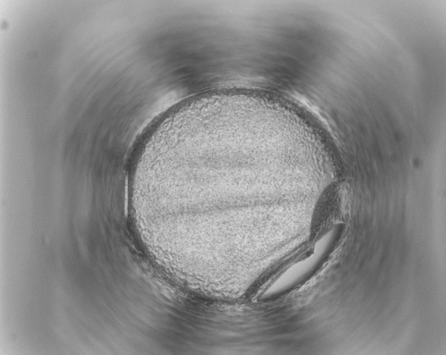 X0000088621219200706221447