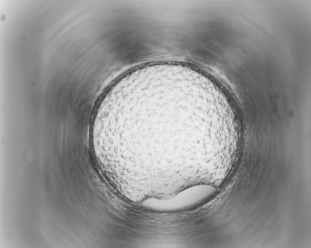 X0000088621220200706221447