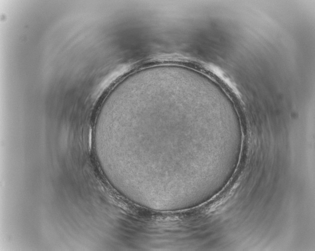 X0000088621221200706221447