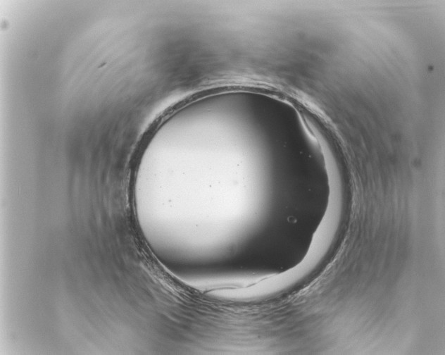 X0000088621222200706221447