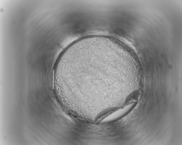 X0000088621223200706221447