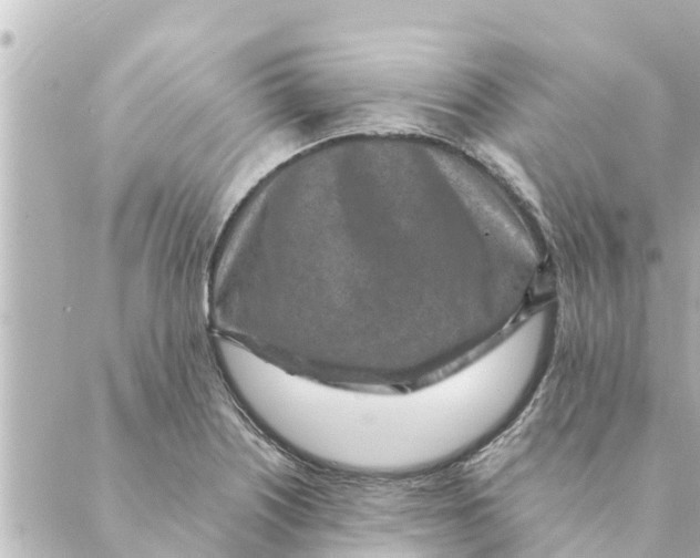 X0000088621226200706221447