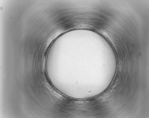 X0000088621227200706221447