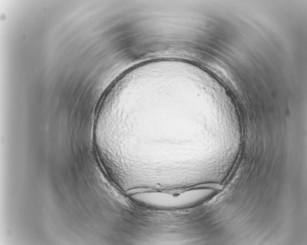 X0000088621228200706221447