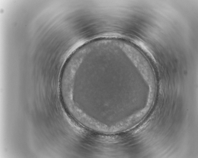 X0000088621229200706221447