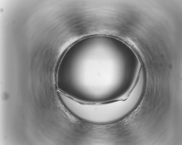 X0000088621230200706221447