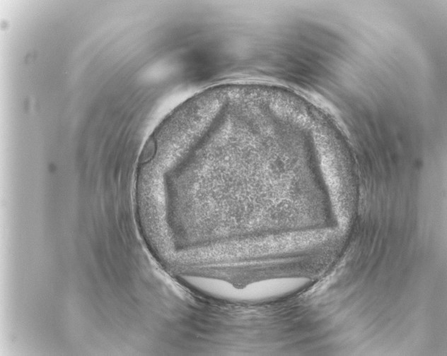 X0000088621231200706221447