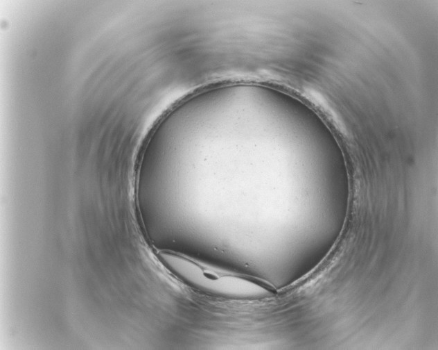 X0000088621232200706221447