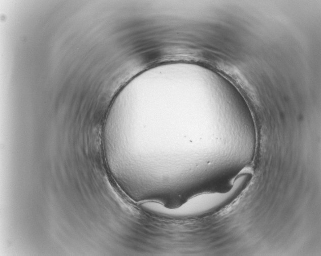 X0000088621233200706221447