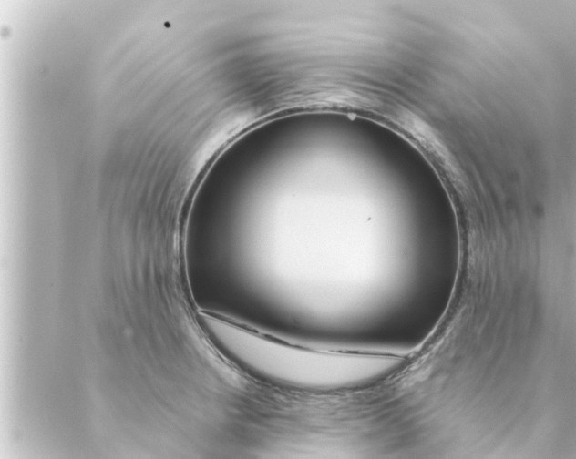 X0000088621234200706221447