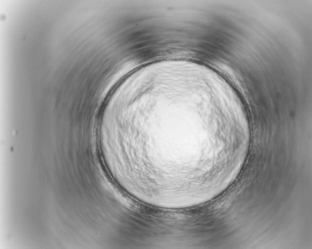 X0000088621235200706221447