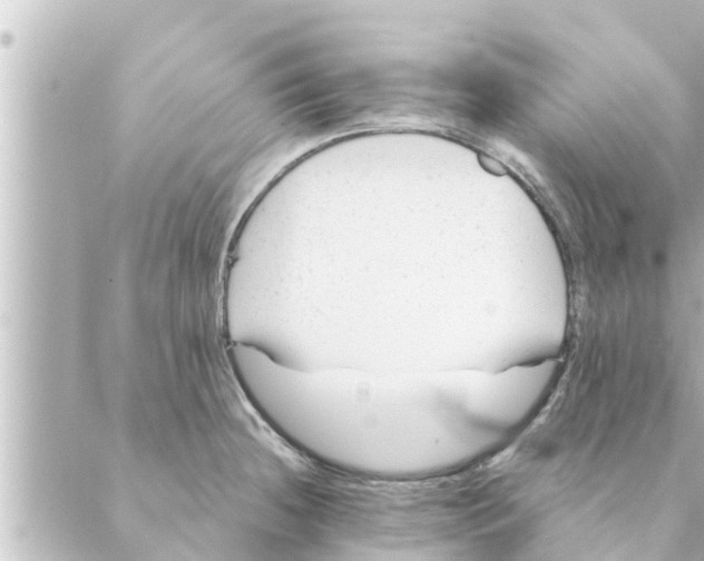 X0000088621236200706221447