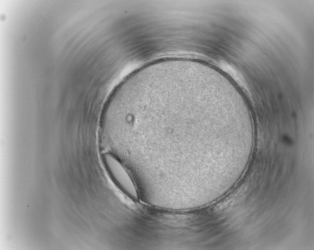 X0000088621237200706221447