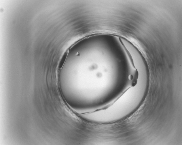 X0000088621238200706221447