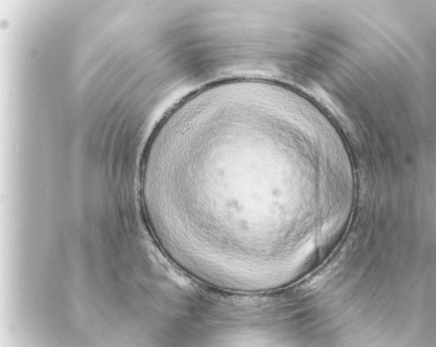 X0000088621240200706221447