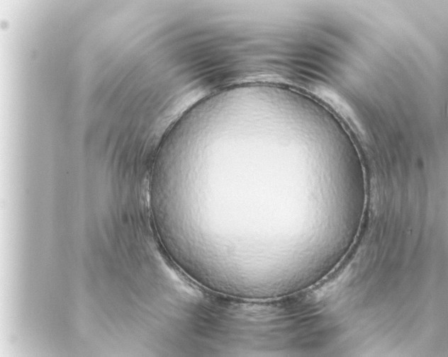 X0000088621241200706221447