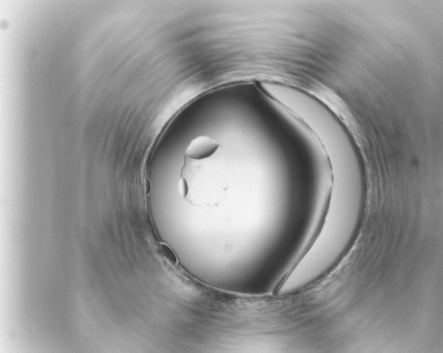 X0000088621242200706221447