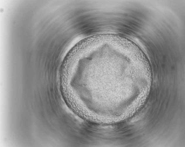 X0000088621243200706221447