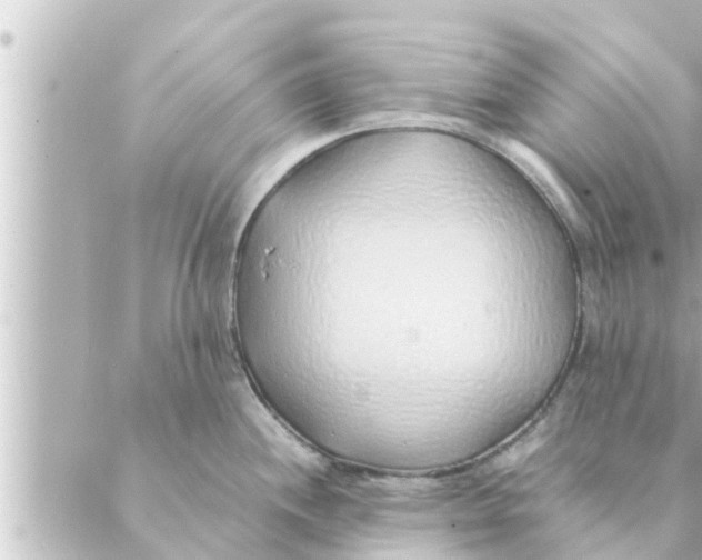 X0000088621244200706221447