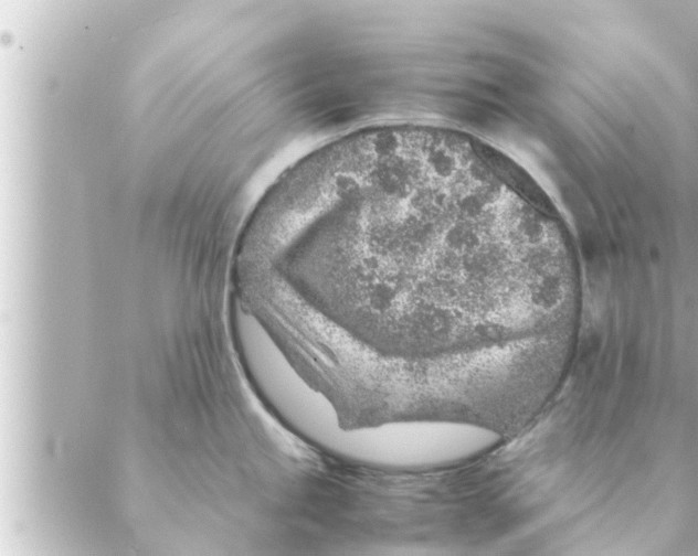 X0000088621245200706221447