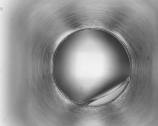 X0000088621246200706221447