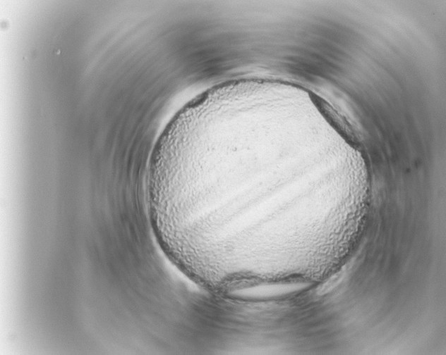 X0000088621247200706221447