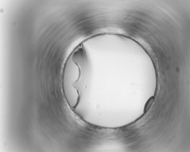 X0000088621248200706221447