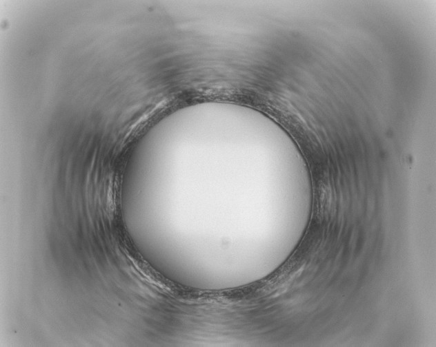 X0000088621250200706221447