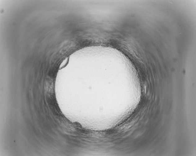 X0000088621251200706221447