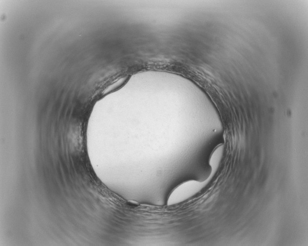 X0000088621252200706221447