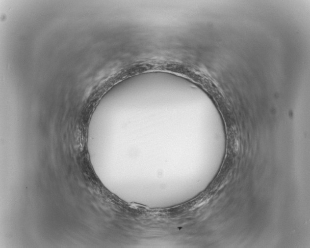 X0000088621253200706221447