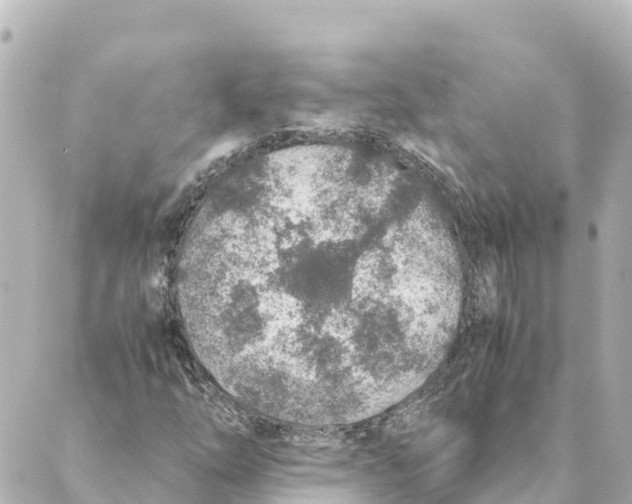 X0000088621254200706221447