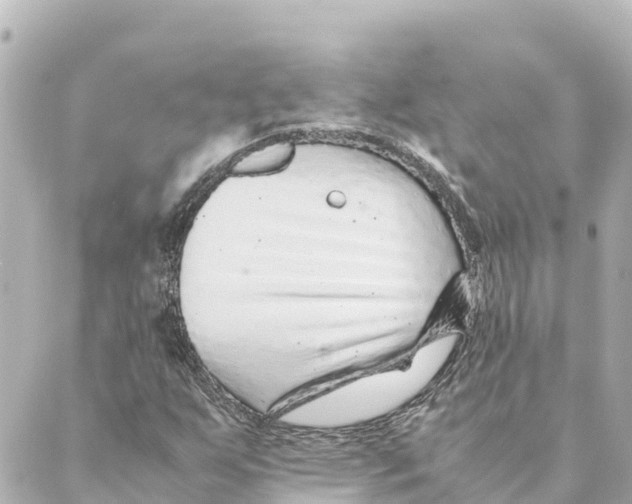 X0000088621255200706221447