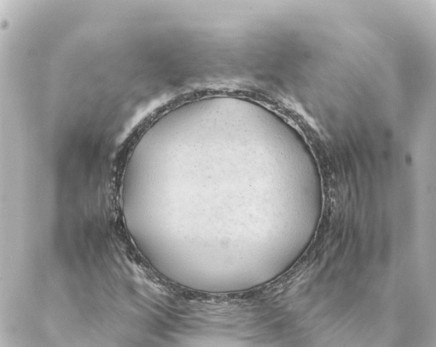 X0000088621256200706221447