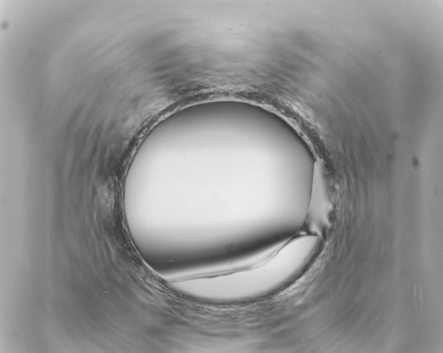 X0000088621257200706221447