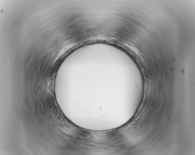 X0000088621258200706221447