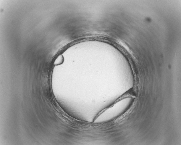 X0000088621259200706221447