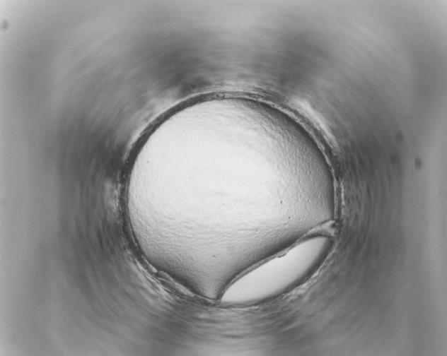 X0000088621260200706221447