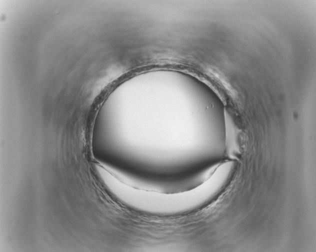 X0000088621261200706221447