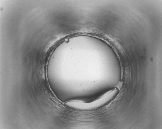 X0000088621262200706221446