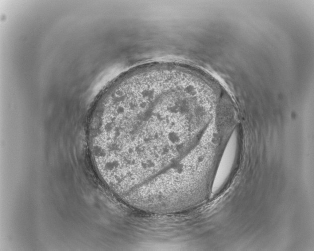 X0000088621263200706221446