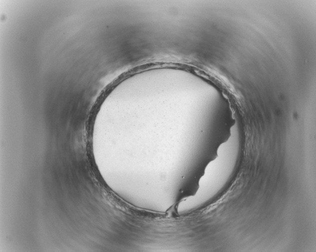 X0000088621264200706221446