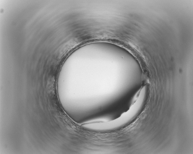 X0000088621265200706221446